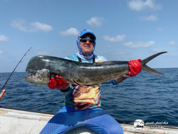 ثبت رکورد 100 گونه ماهی صید ورزشی شده توسط آرش امینی